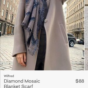 Aritzia Blanket Scarf